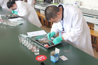 湖南首屆水產(chǎn)技術推廣職業(yè)技能競賽 以賽促學，以技興漁