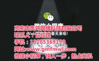 高密網(wǎng)絡(luò)公司專業(yè)推廣與鳳鳴網(wǎng)絡(luò)技術(shù)深度解析 高清視覺(jué)營(yíng)銷(xiāo)賦能旅游開(kāi)發(fā)項(xiàng)目策劃